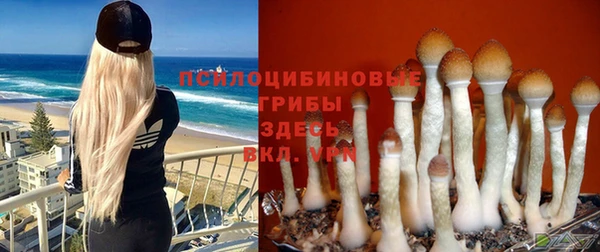 мяу мяу кристалл Алзамай