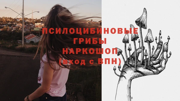 герыч Заводоуковск